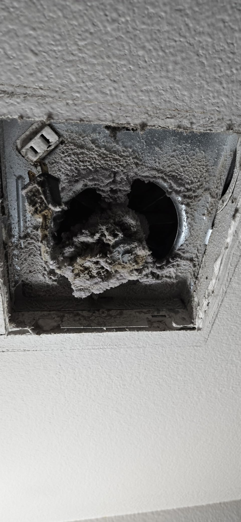 Broan-NuTone Bathroom Exhaust Fan Easy Retrofit without Attic Access, Quiet 1.5 Sones, Effective Ventilation at 80 CFM ENERGY STAR customer photo 1