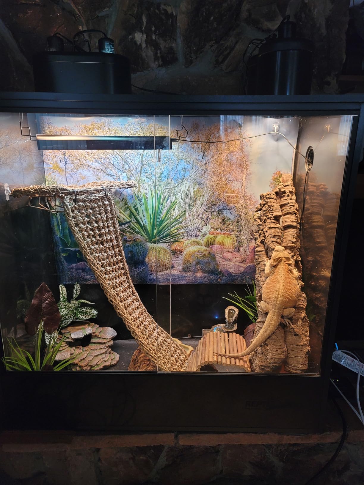 REPTIZOO 100 Gallon PVC Reptile Tank, 36x18x36 inch Extra Tall Large Reptile Enclosure, Chameleon Frog Gecko Lizard Arboreal Terrarium with Sliding Door & Screen Ventilation customer photo 1