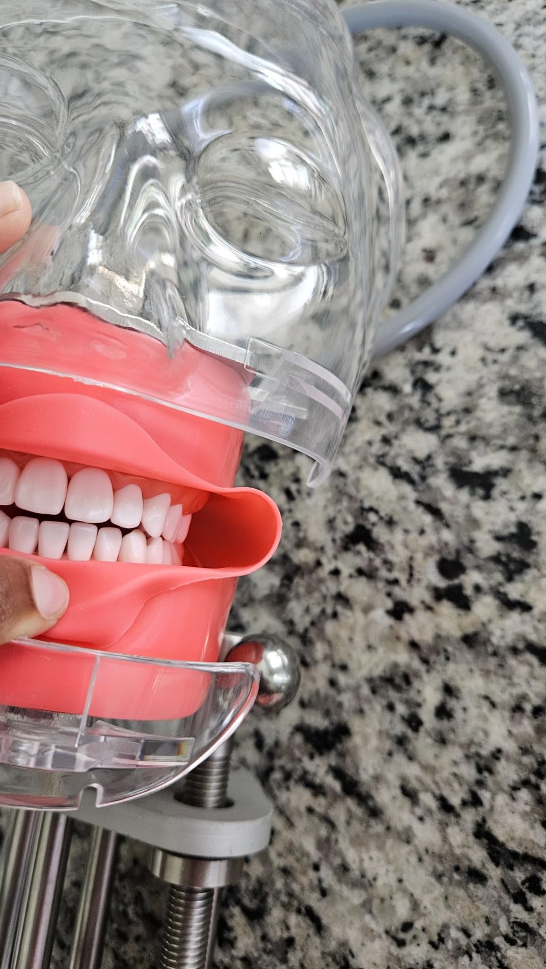 Ultrassist Dental Manikin Head with 32 Typodont Teeth Model, Dental Typodont Mount Fixed on Table, Dental Phantom Head customer photo 3