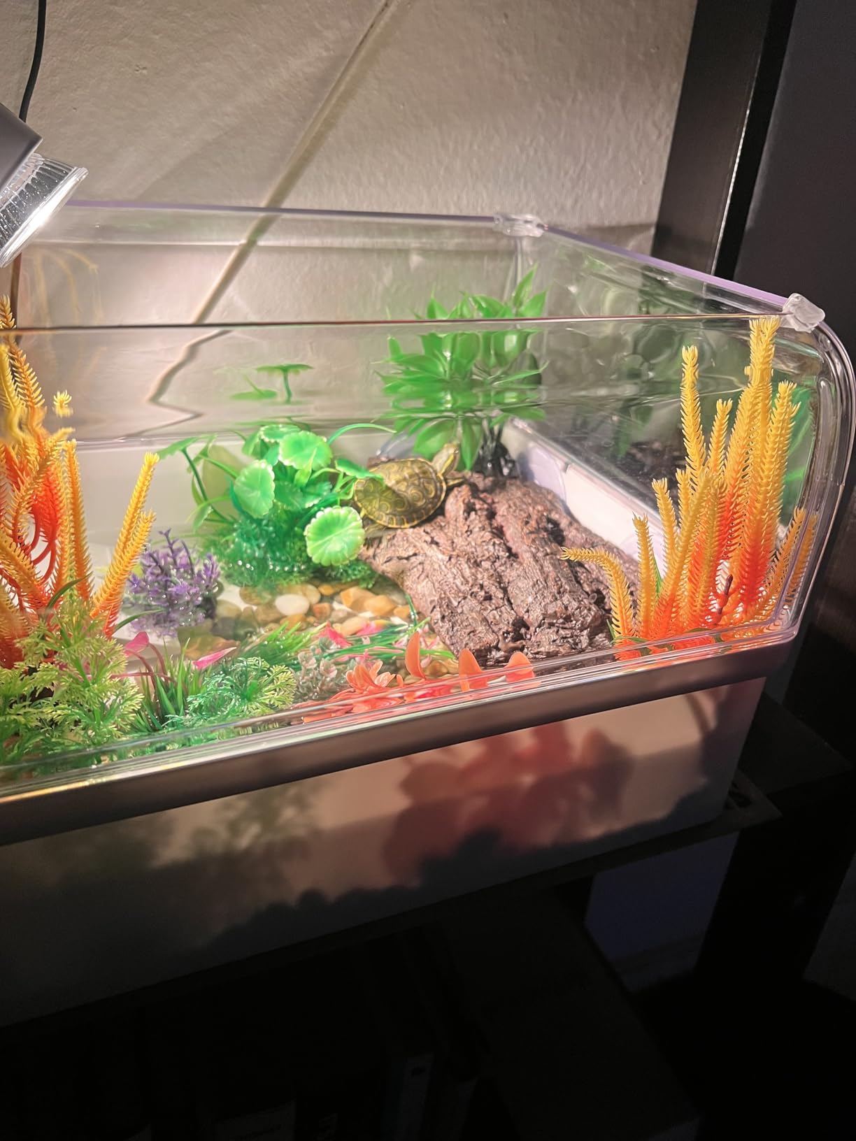 ZENFUN Turtle Basking Platform, Fish Tank Aquarium Tortoise Climbing Platform with 3 Suction Cups, Baby Tortoise Resting Terrace, Climbing Ramp Shale Reptiles Dock for Terrapins, Frogs customer photo 2