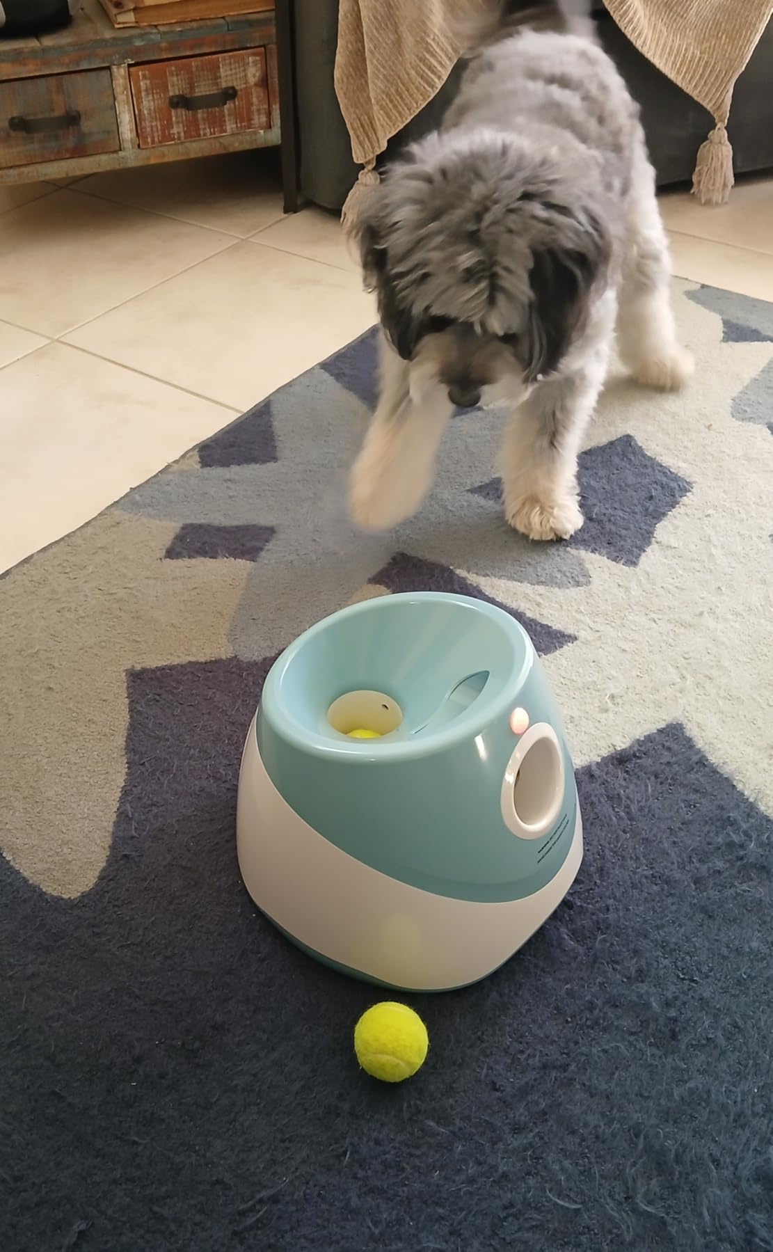 Automatic Dog Ball Launcher, Dog Ball Thrower with 15 Mini Tennis Balls Sizing 2 Inch and Mesh Bag, Interactive Dog Toys Tennis Ball Launcher for Small Dogs with 3 Distance Settings customer photo 1