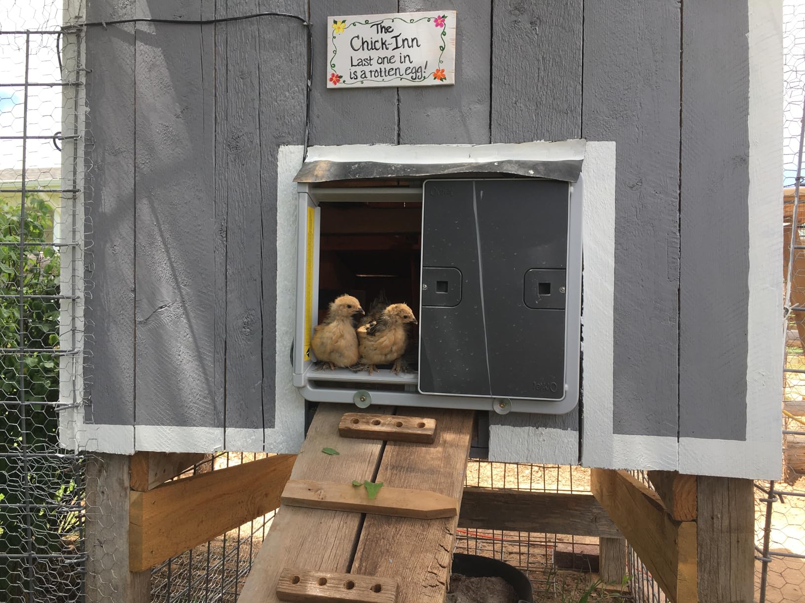 Omlet Smart Automatic Chicken Coop Door Opener | Wi-Fi Enabled | Programmable with App | Operated by Light Sensor or Timer | Easy to Install | Mains or Battery Powered | Built-in Safety Sensors Green customer photo 1