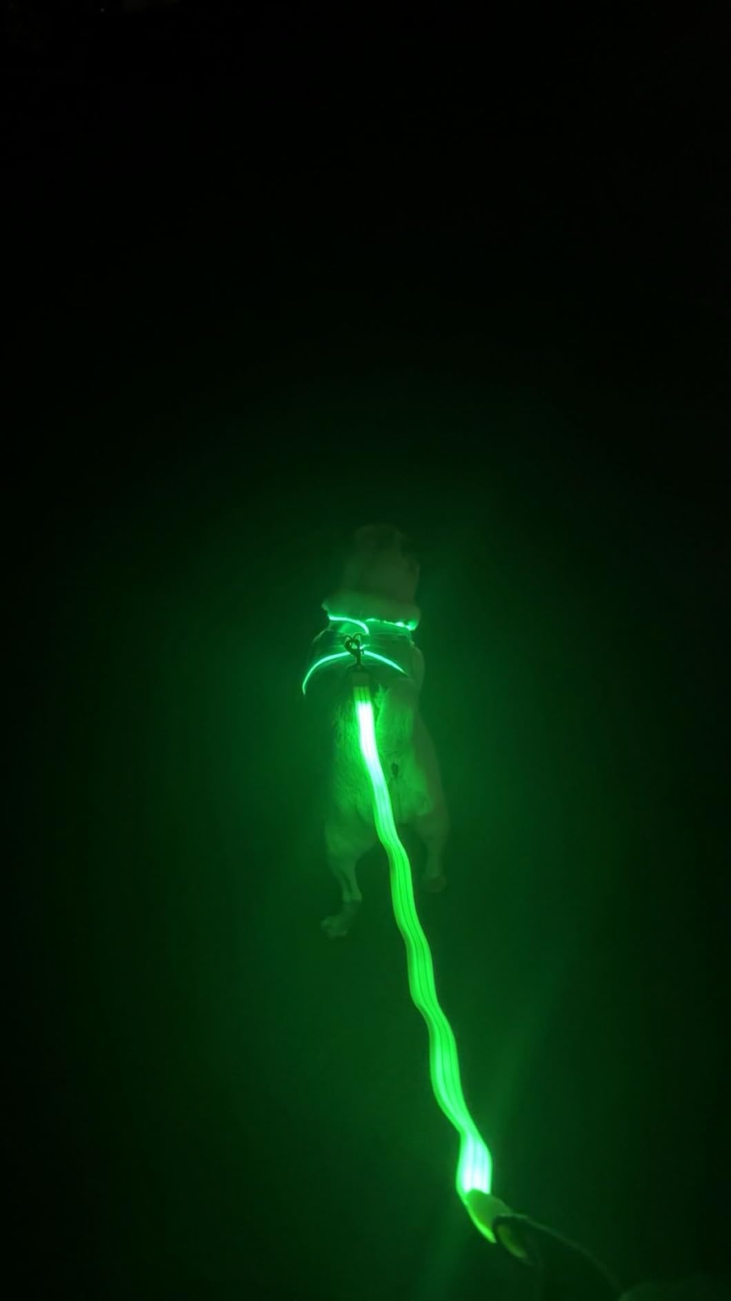 Pceotllar LED Dog Harness - Rechargeable, Flashing Light, No Pull, Reflective - Small/Medium, (Green S) customer photo 1