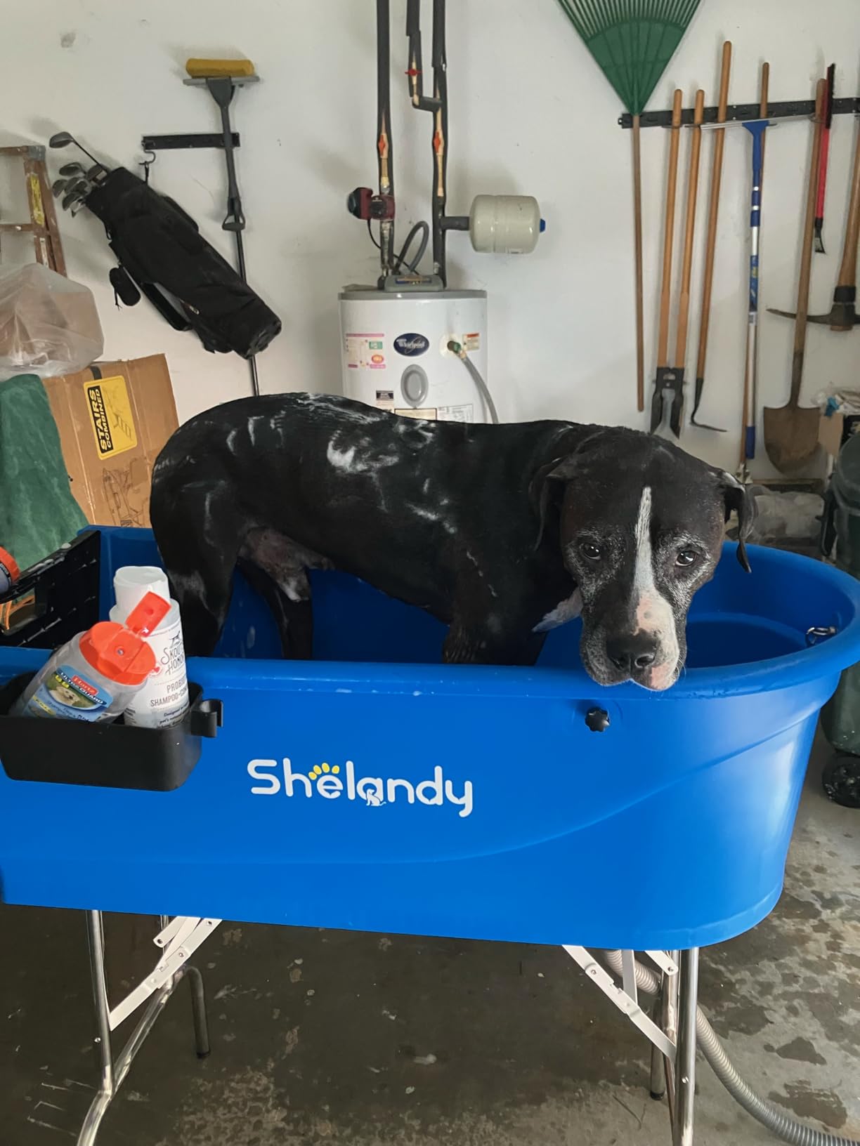 SHELANDY 45