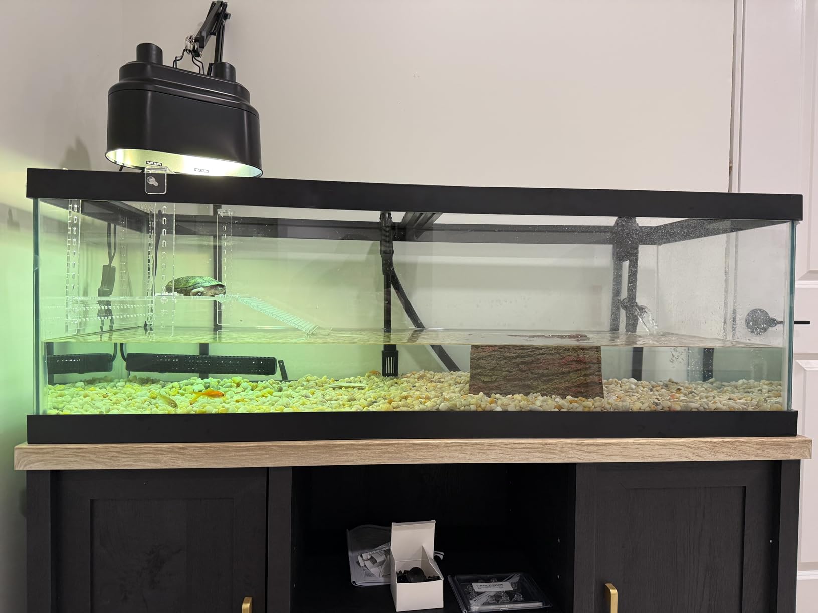 Turtle Docks Large Adjustable Turtle Basking Platform for Aquatic Turtles, Design for Tanks 0.3