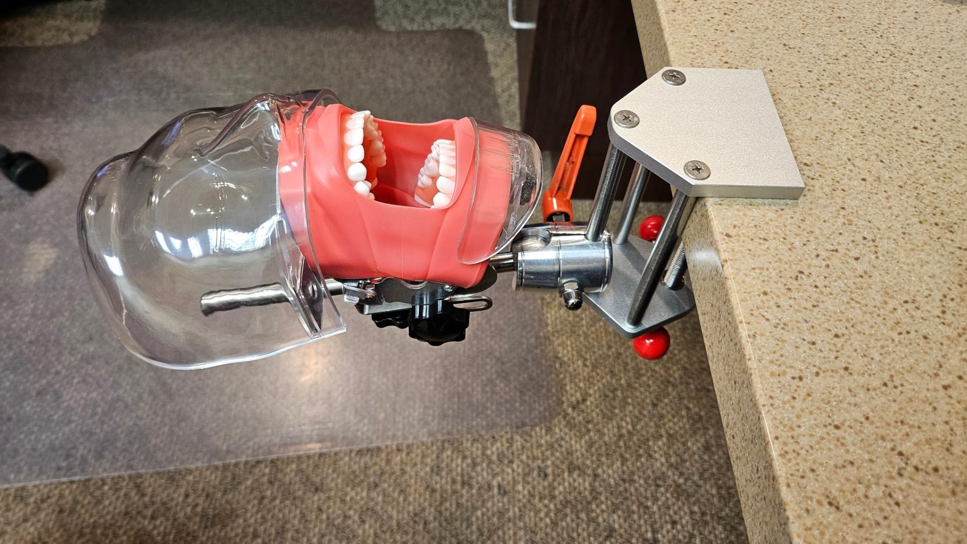 4E 4E's USA Dental Bench-Mounted Training Manikin (28 Teeth): Phantom Head Model with Desk Clamp, Head Base, Facemask & Drainage Tube, Ideal for Demonstration & Education customer photo 2