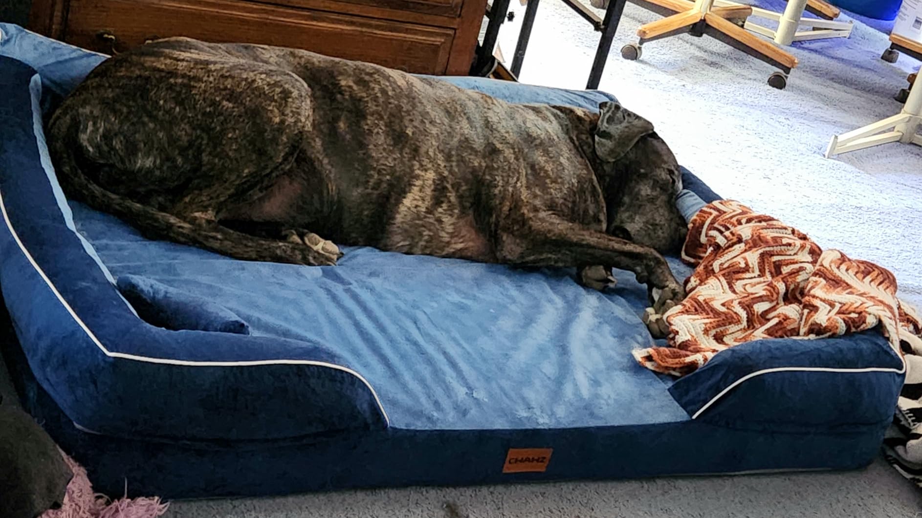 CWAWZ Extra Large Dog Bed, Orthopedic Dog Bed with Cooling Gel Memory Foam, Waterproof XL Pet Bed with Removable Washable Cover, 42