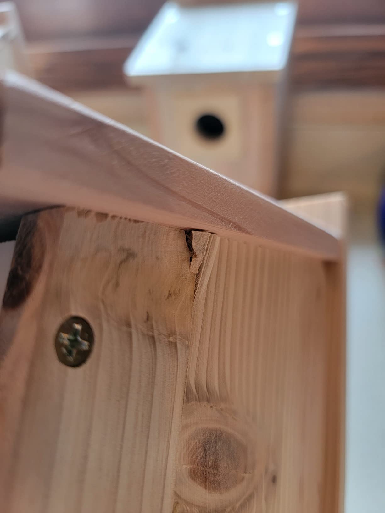 2 Pack Bird Houses for Outside Clearance with Copper Guard, Cedar Bird House Outdoor, Bluebird Finch Swallow Wren Chickadee Assembly Required customer photo 2
