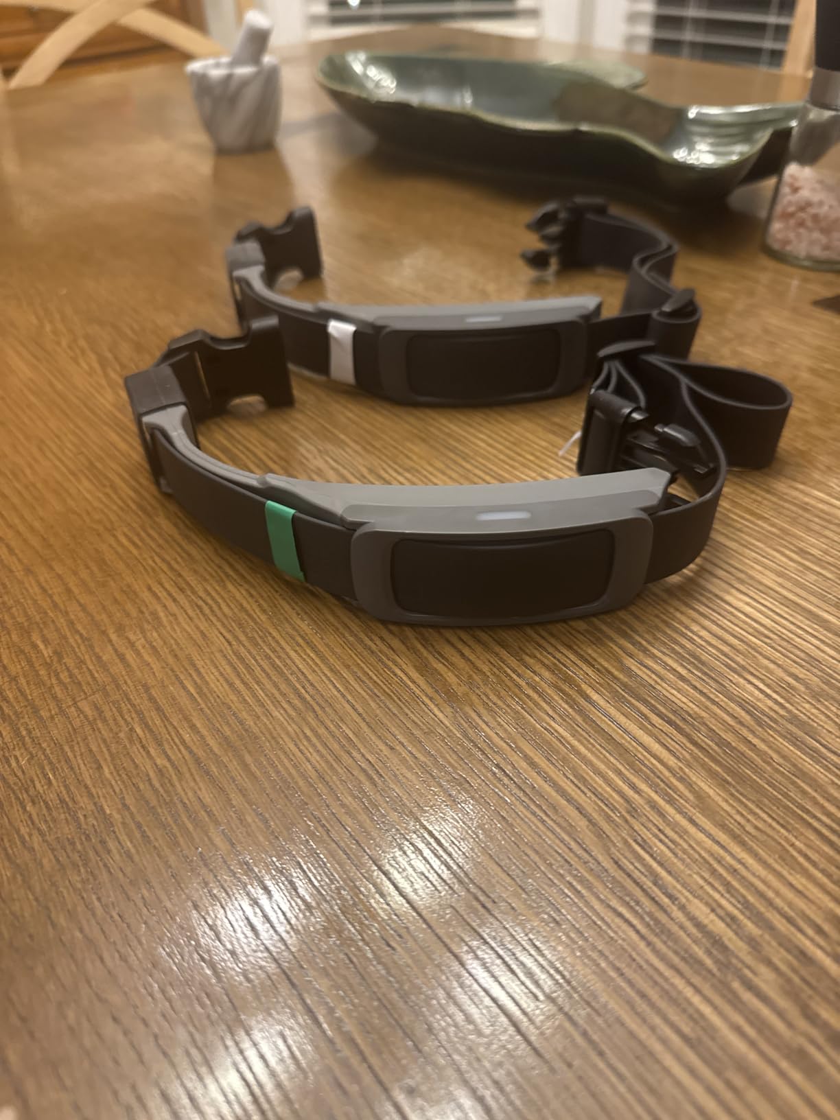 PetSafe Guardian GPS Dog Fence - Advanced AccuGuard Technology - Wireless Virtual Fence - No Subscription Required - Waterproof Collar customer photo 1