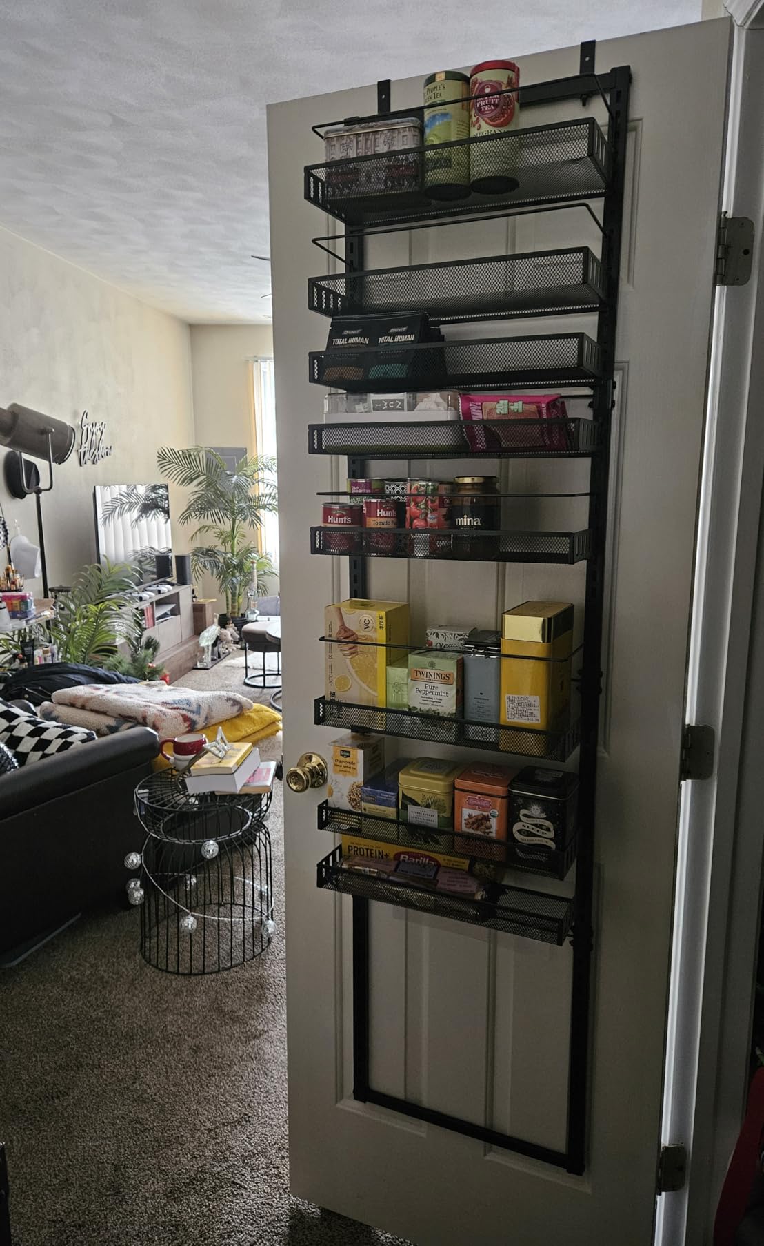 SNTD 8 Tiers Over the Door Organizer - Height Adjustable Pantry Organizers and Storage with Dense Mesh Baskets, Anti-Swing Hanging Door Spice Rack for Kitchen Bathroom, Black, 17