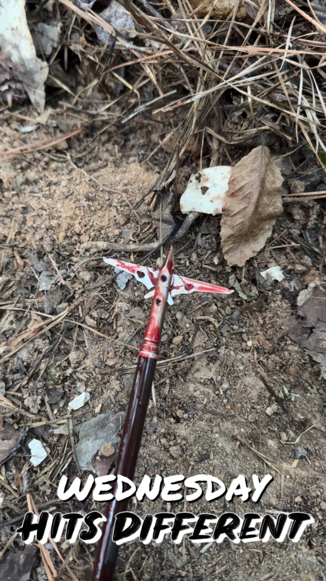 SEVR Titanium 2.0 Broadhead 4 Pack 100 Grains customer photo 1
