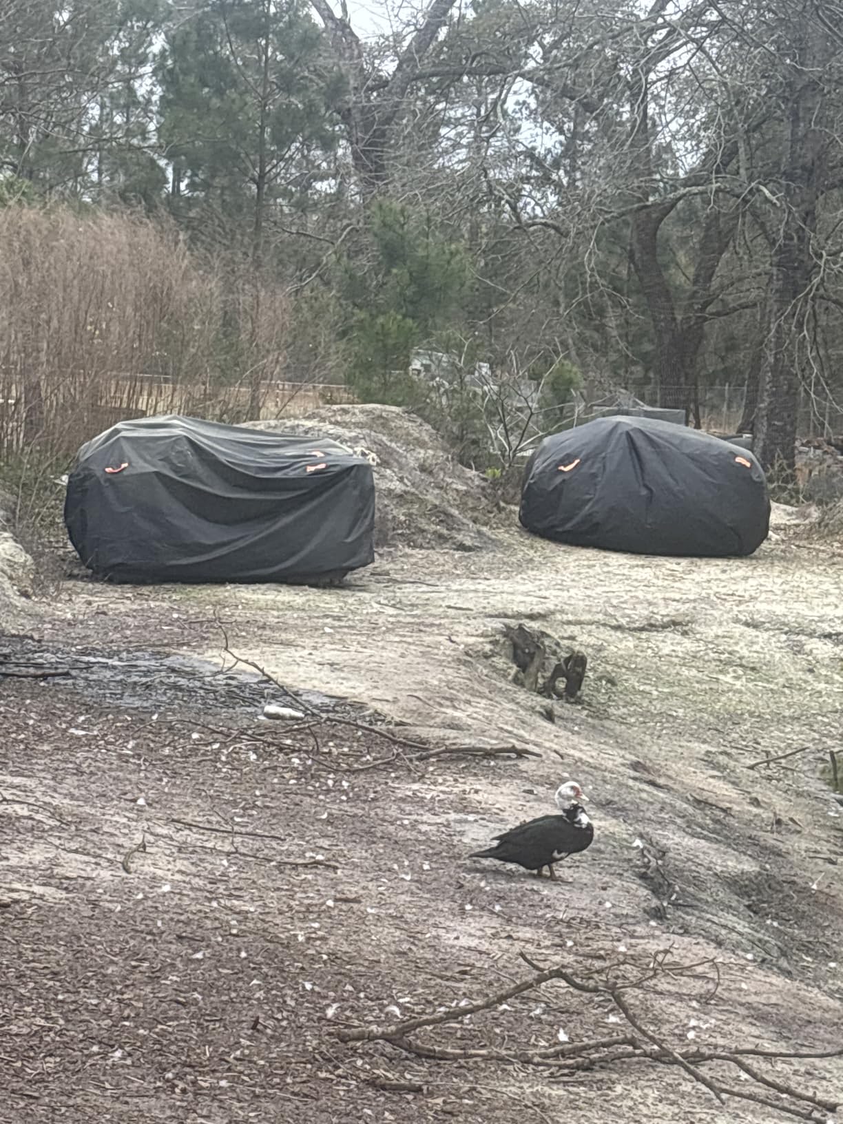 ATV Cover Waterproof Outdoor Heavy Duty, 300D Oxford 4 Wheeler Cover for Can-Am Outlander 450 570 650 850 1000R Polaris Sportsman 550 570, Quad Cover with Lock Buckles All Weather Protection customer photo 1