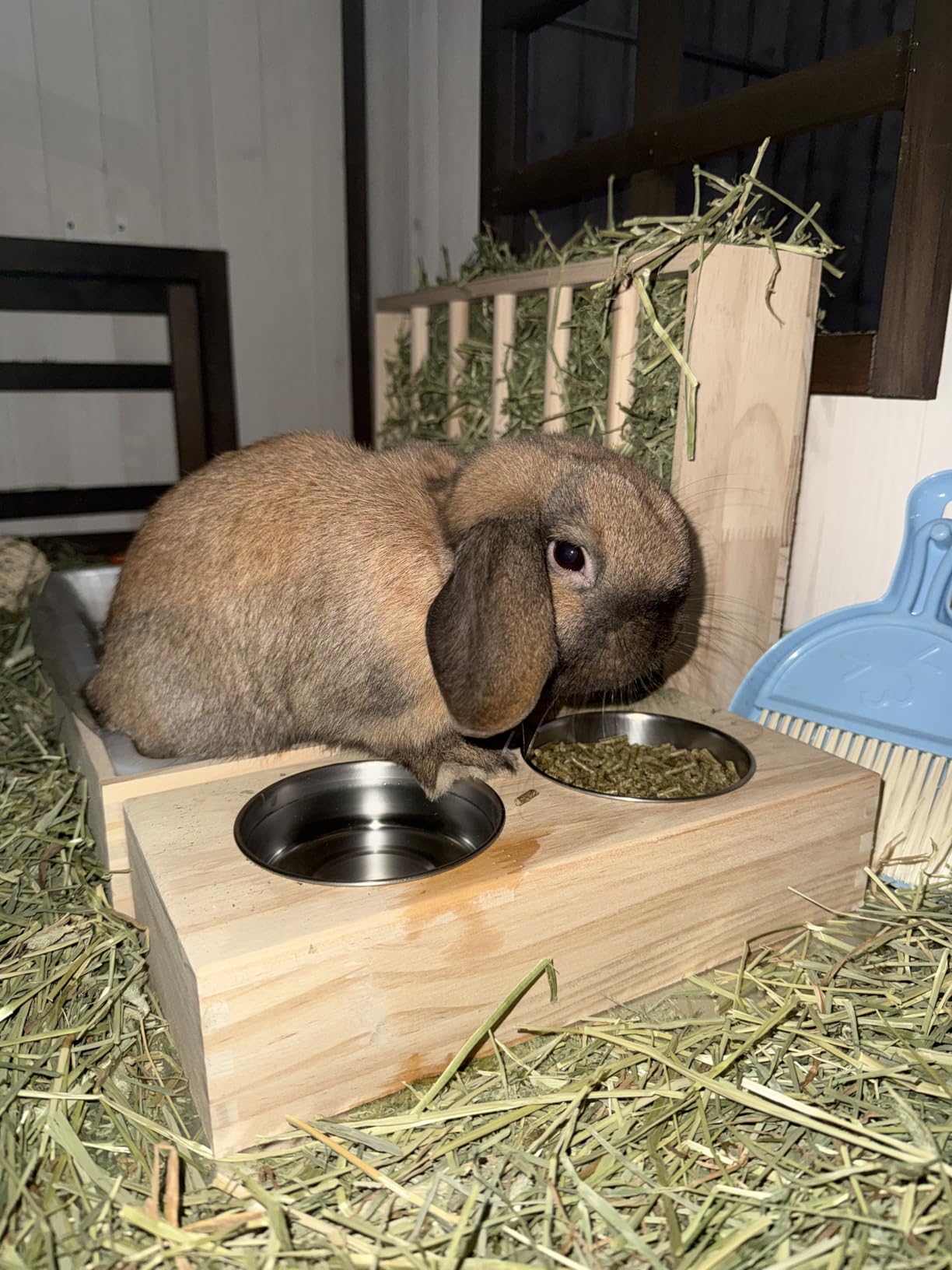Extra-Large 2-in-1 Rabbit Litter Box & Hay Feeder Set, Wood, Mess Proof, for Guinea Pigs, Chinchillas, Hamsters, and Rabbits customer photo 1