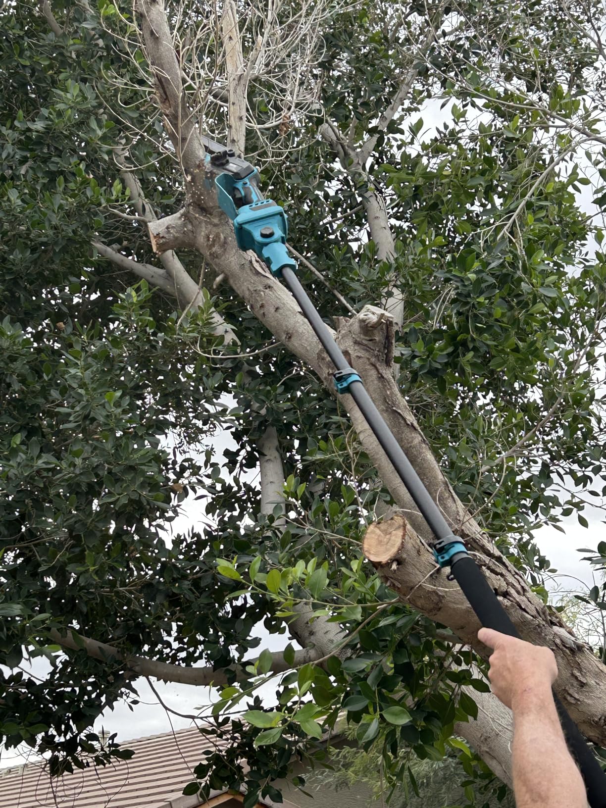SEESII 2-in-1 Electric Pole Saws for Tree Trimming | Cordless Mini Chain Saw 6-Inch with Extension Pole for Pruning, Wood Cutting, Branch Cutter for Yard Work, 2x2000mAh Batteries customer photo 1