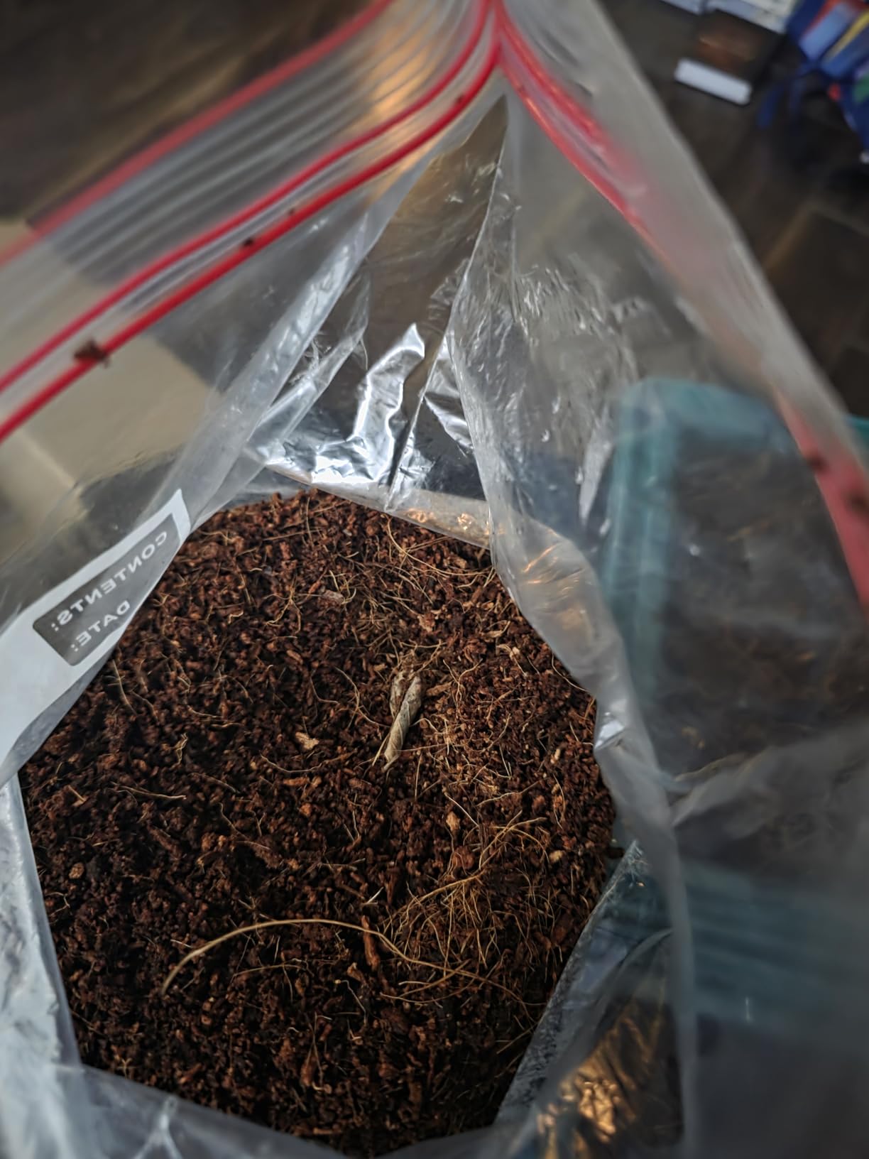 Back to The Roots Organic Seed Starting, Compressed Block expands to 12 Quarts, Made for Herbs, Veggies, Flowers customer photo 2