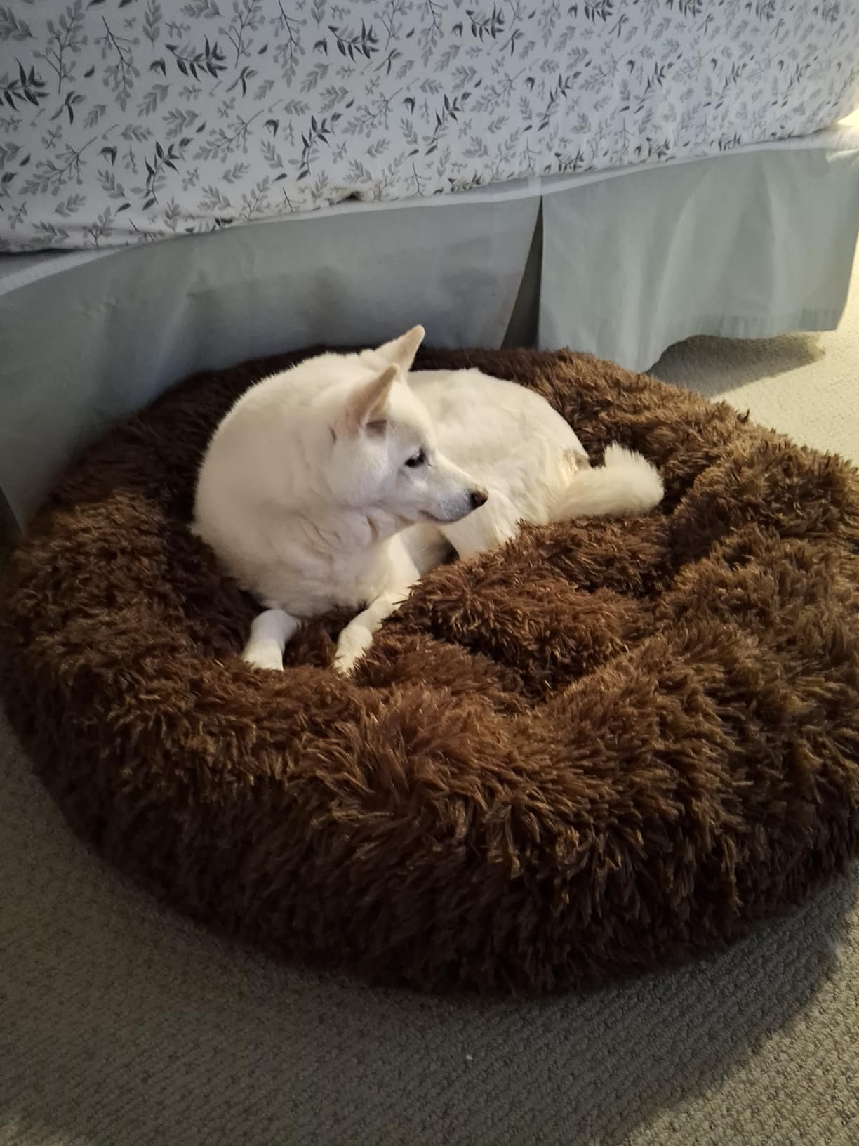 JOLLYVOGUE Calming Dog Beds Large Sized Dog, 36in Donut Washable Large Pet Bed, Anti-Slip & Anti-Anxiety Fluffy Faux Fur Round Dogs Bed, Fits up to 80 lbs Pets customer photo 1