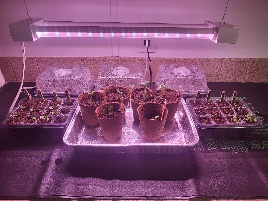 Bonviee 5-Pack Seed Starter Trays, Seed Starter Kit with Adjustable Humidity Dome and Base Indoor Greenhouse Mini Propagator for Seeds Growing Starting (12 Cells Per Tray, Green) customer photo 1