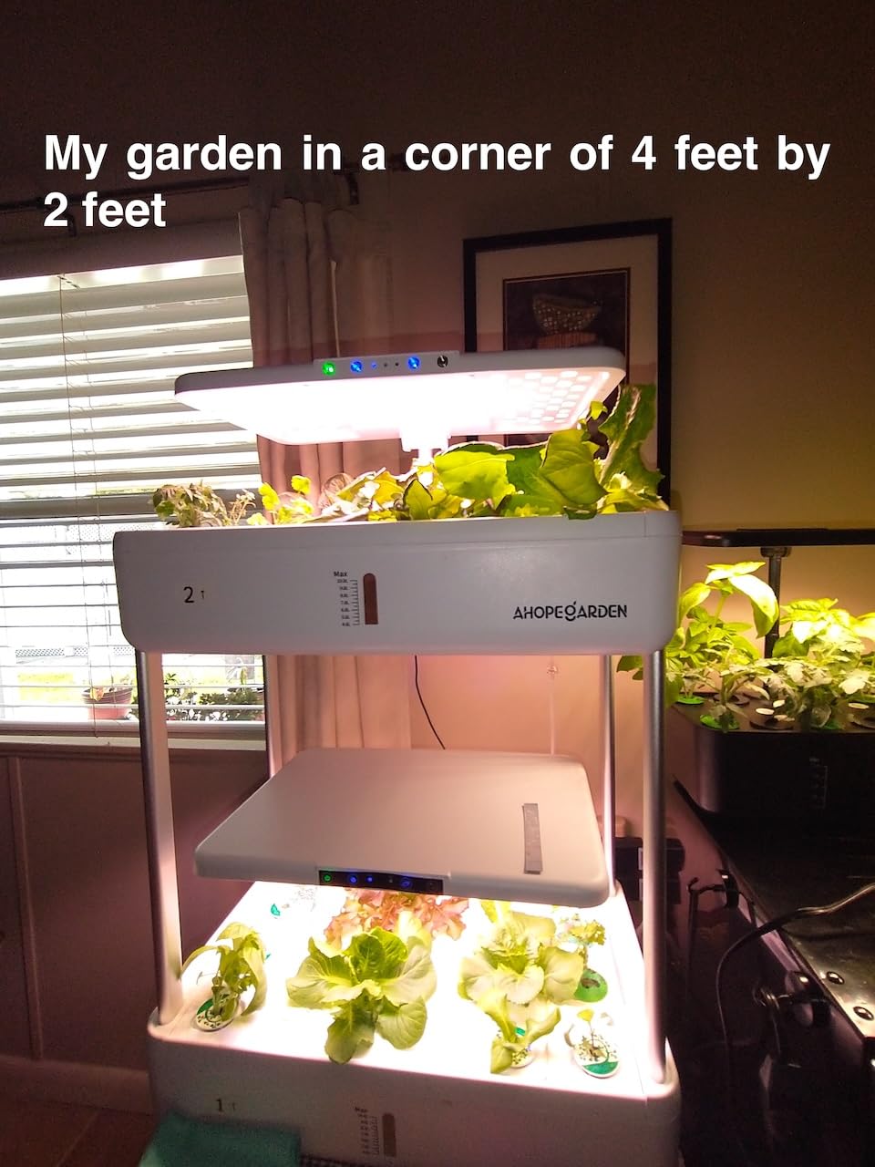 Ahopegarden Hydroponics Growing System Indoor Garden, 44 Pods Plant Herb Garden Germination Kit with LED Grow Light, 20L Double-Layer Large Capacity Hydrophonic Planter Grower for Vegetable Fruit customer photo 2