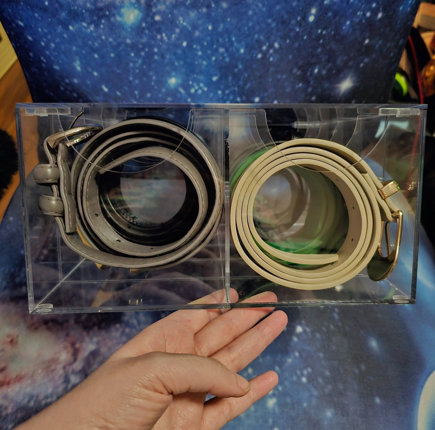 Large Acrylic Belt Organizer, Clear 14 Compartments Storage with Dust Cover, Display Holder for Home customer photo 2