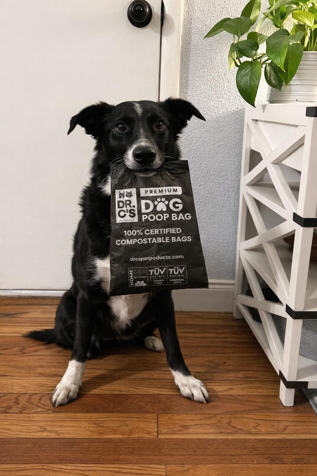 100% Certified Compostable Dog Poop Bags - Dr. C's Premium Dog Poop Bags - 270 Bags / 18 Rolls, Extra thick, Leak Proof, Unscented, Plant Based and Earth Friendly, Dispenser Included, USA Owned customer photo 2