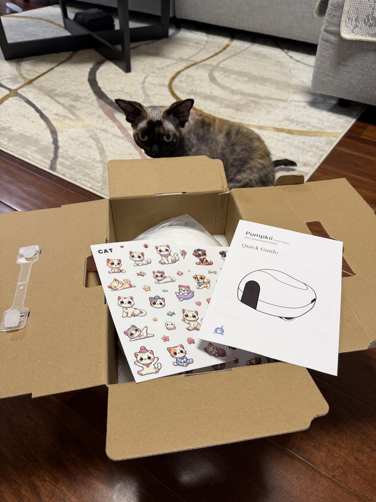 Cat Camera with Interactive Pointer Toy, Moving Robot for Dog and Cat, Mobile Pet Camera Treat Dispenser with Phone App, Auto Recharging and Night Vision, Two-Way Audio (2.4G Wi-Fi Only) customer photo 2