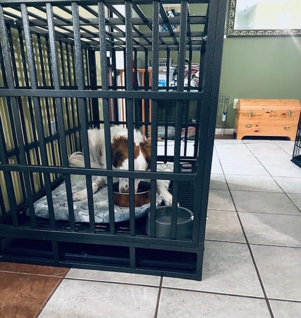 Oranland 48 inch Heavy Duty Indestructible Dog Crate, 2025 New Upgraded Reinforced Baseplate for Large Dogs, XL Dog Crate for High Anxiety Dogs/Max Load Capacity 250lbs/Double Door with Wheels customer photo 2