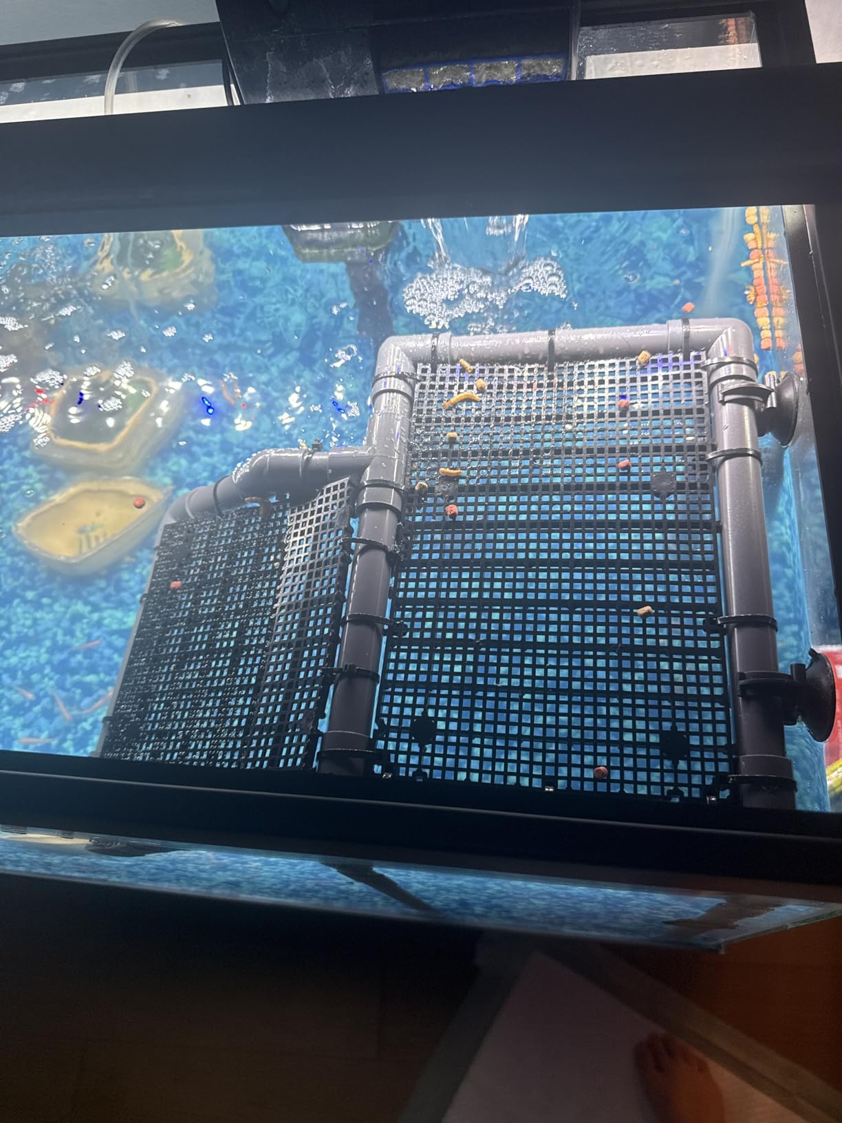 Large Standing Turtle Basking Platform, 10.8