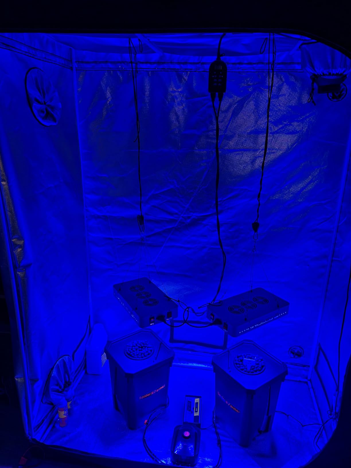 Spider Farmer DWC Hydroponics Grow System with 7-Gallon Deep Water Culture, New Triangular Cover Design, Recirculating Drip Garden System with Top Drip Kit, 8W Air Pump, 2 Buckets customer photo 2