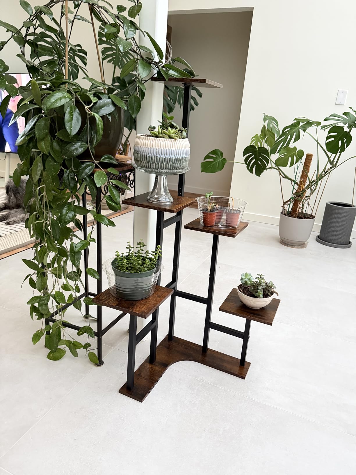 Corner Plant Stand Indoor, 6 Tiered Corner Plant Shelf Flower Stand for Multiple Plants, Plant Shelves Organizer Rack for Living Room, Balcony, Patio, Garden, Square Rustic Brown customer photo 1