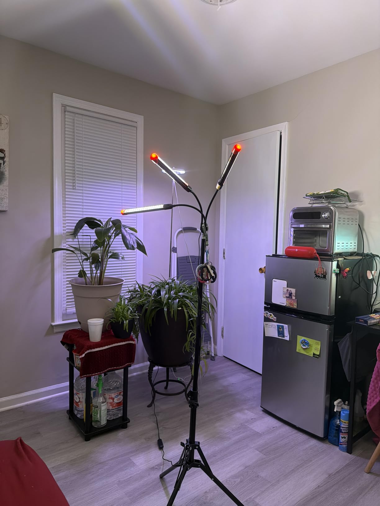 3-Head Grow Light with Stand and Timer, 27 Watt Power Home Plug LED Grow Lights for Indoor Plants for Tall Houseplants, Bonsai Tree, Seed Starting, 24