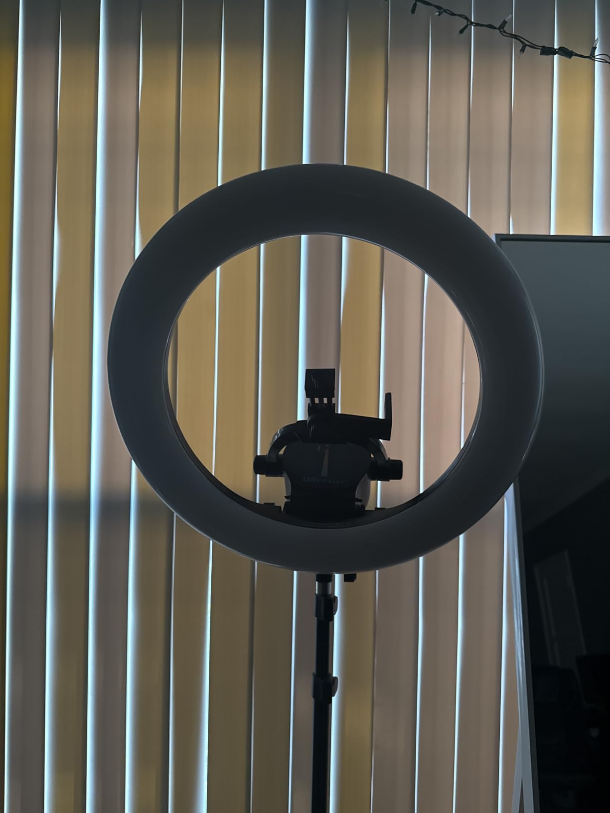 UBeesize 22 inch Ring Light with 72 inch Stand, 65W Large Ring Light with Phone Holder, Dimmable LED Light for Makeup Barber Stylist Tattoo YouTube TikTok Photography customer photo 1