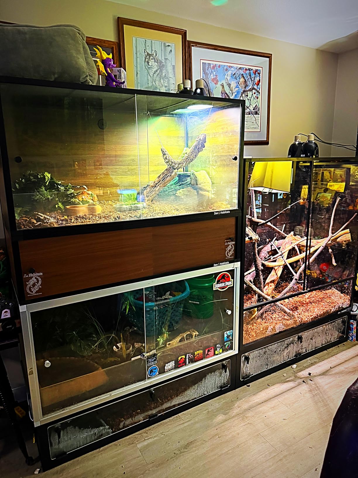 4'x2'x4' Reptile Enclosure - The Zen Habitat 3.0 customer photo 1