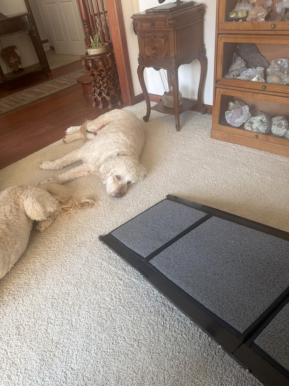 Dog Ramp for Car 71