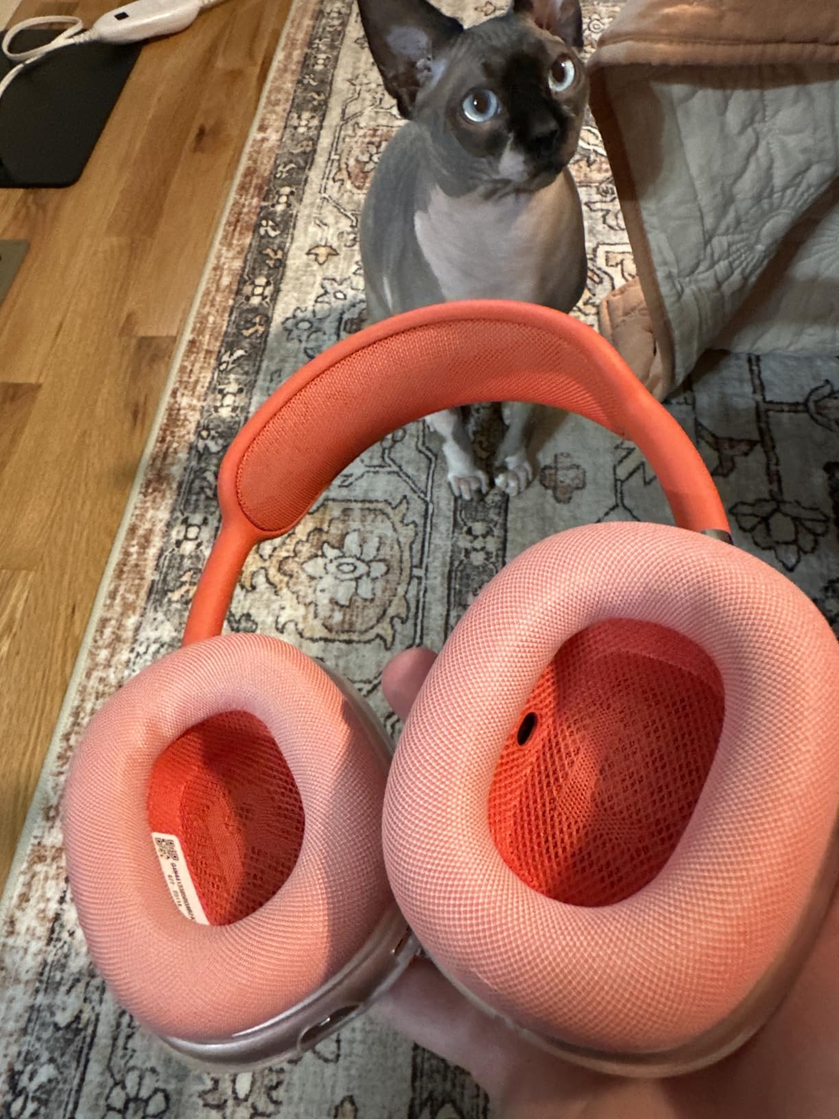 Apple AirPods Max - Orange (Renewed) customer photo 2