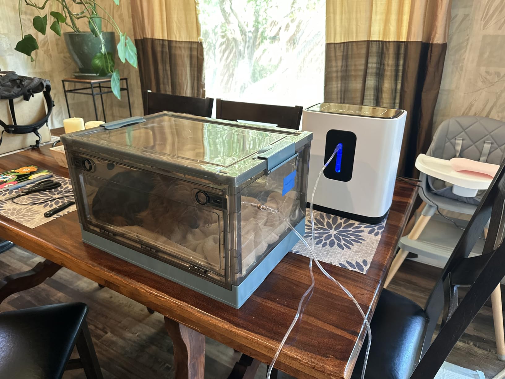 Pet Nebulizer Nest, Cat & Dog Oxygen Chamber, Small Pet Oxygen Inhalation Box (Gray, Intermediate) customer photo 1