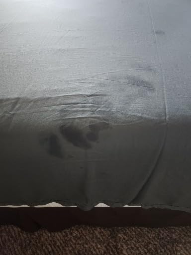 Cariloha Aloha Soft 4-Piece Sheet Set | Natural | King | Made from 100% Viscose derived from Bamboo | Introductory Sheet Line customer photo 2