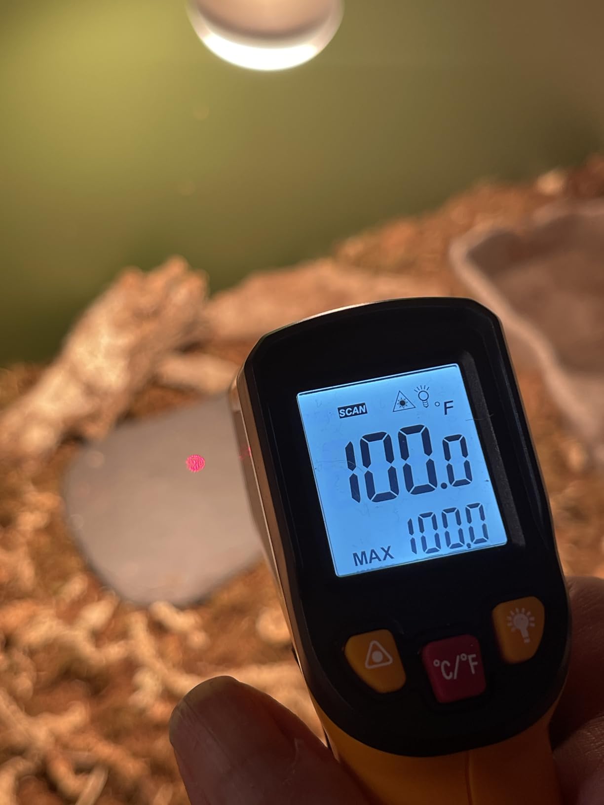 KNINE OUTDOORS Infrared Thermometer Laser Temperature Gun, -58℉ to 1112℉, Single Laser Targeting, Distance to Spot Ratio 12:1, for Cooking, Oven and Meat customer photo 2