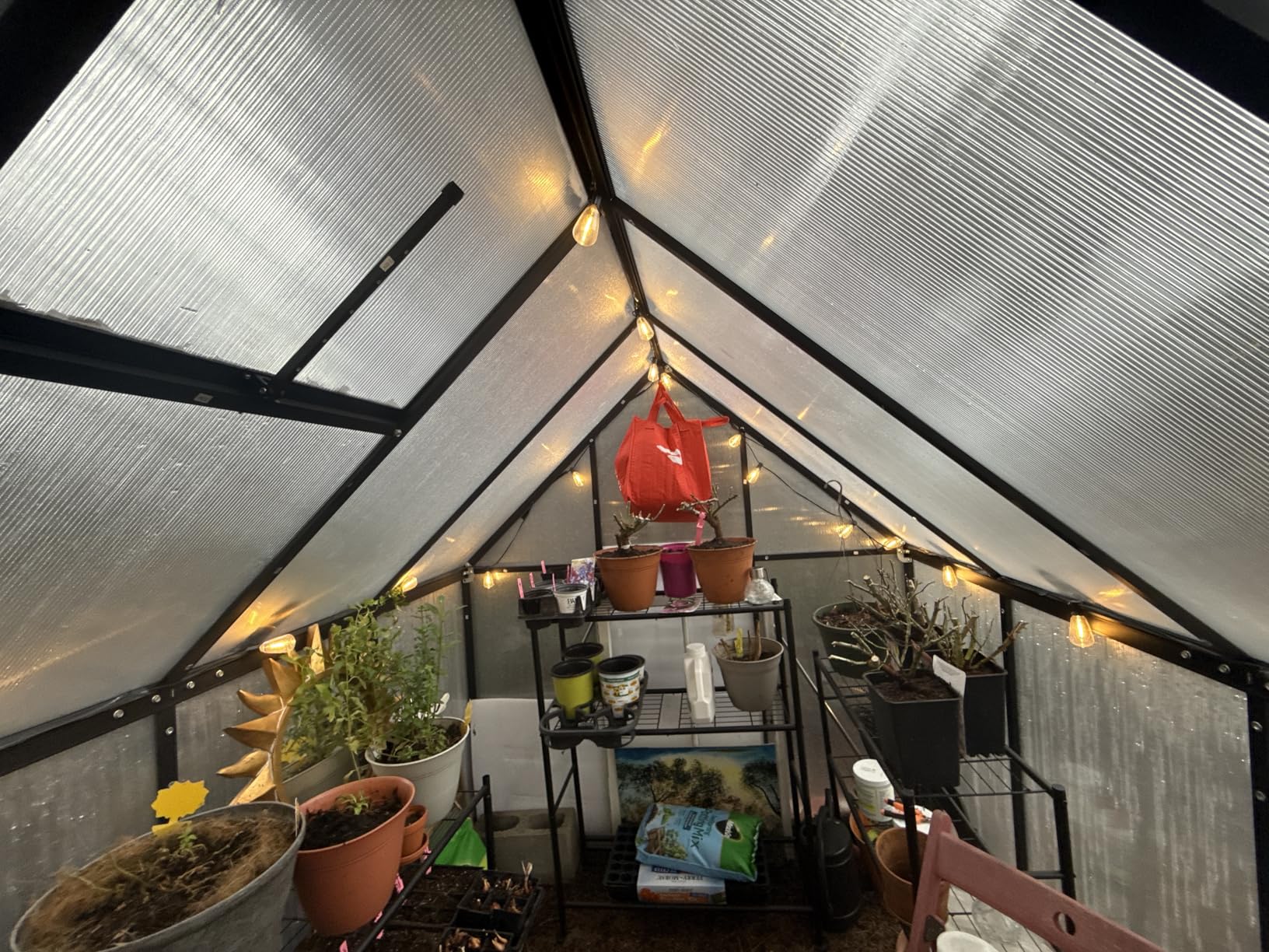 HOOYEAH 6 x 4 FT Polycarbonate Greenhouse, Winter Greenhouses for Outdoors,Outdoor Greenhouse with Roof Air Vent, Heavy Duty Walk-in Aluminum Green House for Outside Garden Backyard customer photo 2