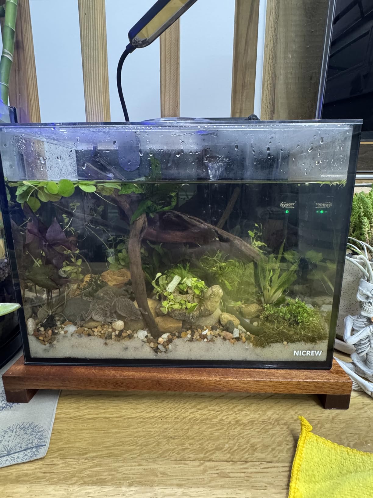 NICREW 2.5 Gallon Nano Nature Aquarium Kit, Ultra-Clear Rimless Desktop Fish Tank with Light, Filter, Gravel and Rock customer photo 1