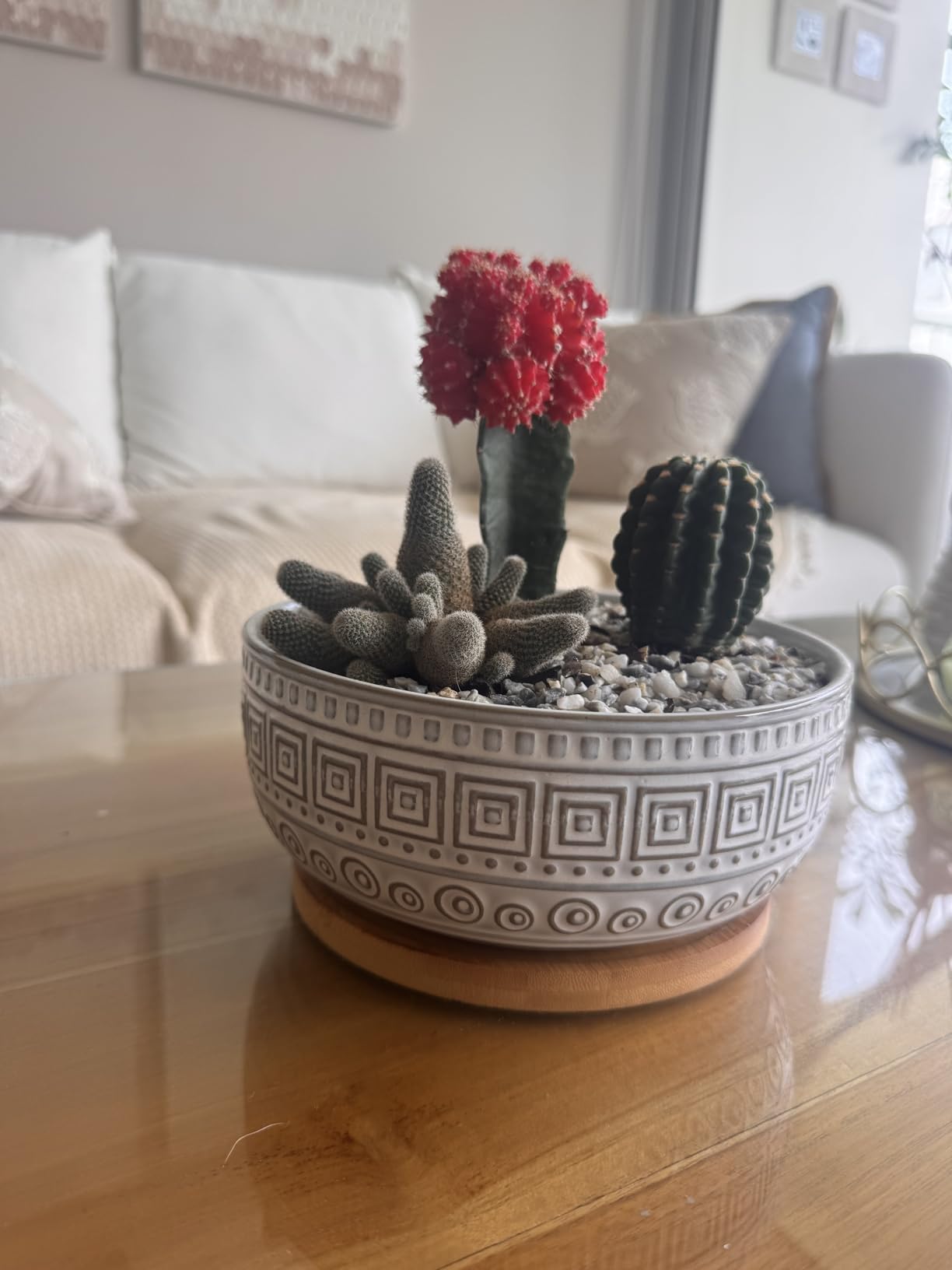 G EPGardening Bonsai Pots 8 Inch - Ceramic Succulent Pots, Round Planter for Indoor Plants, Modern Outdoor Planter with Drainage and Plant Saucer, Boho Home Decor, House Warming Gifts New Home, Blue customer photo 2