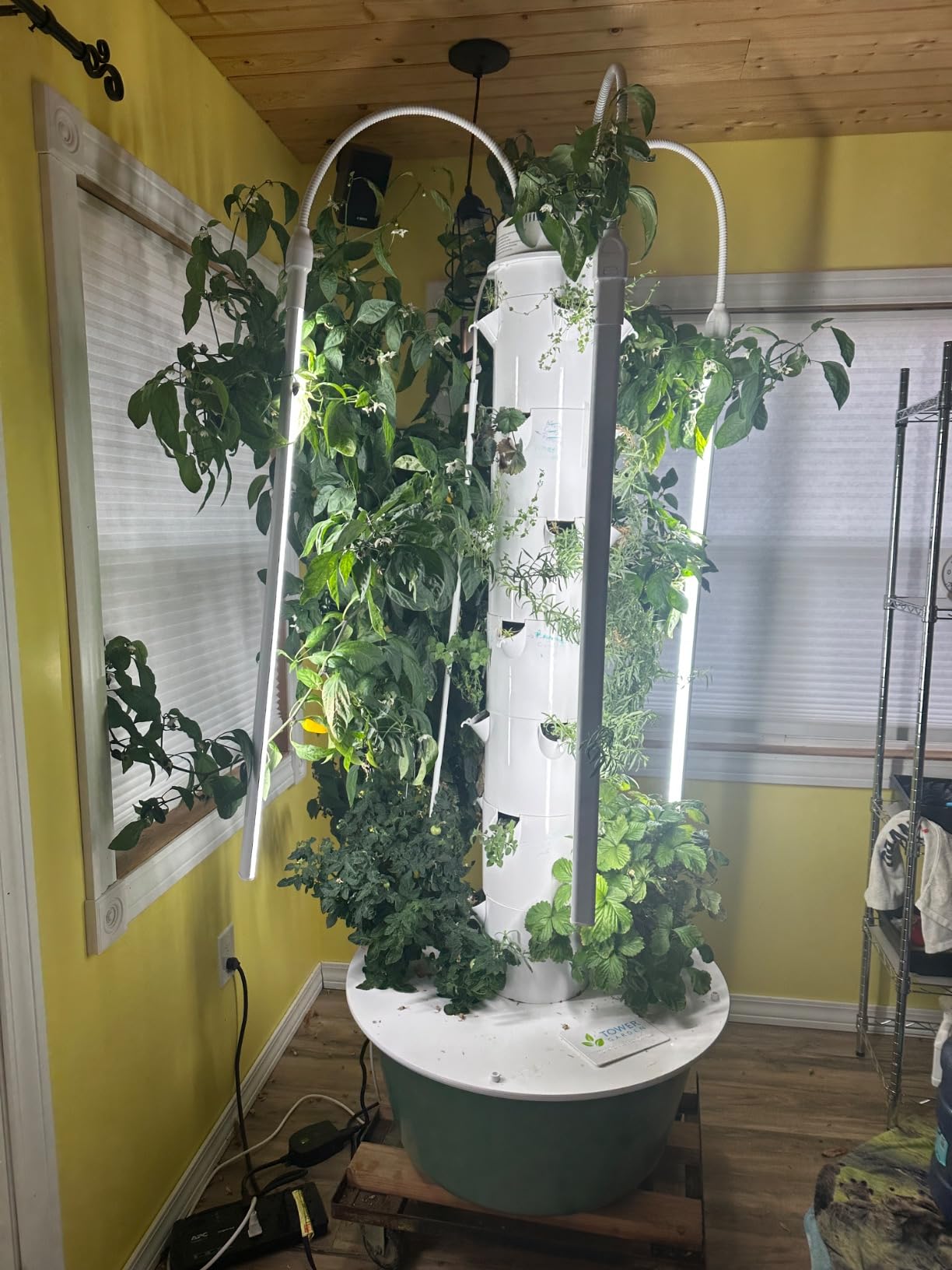 Tower Garden Flex Aeroponic Vertical Growing Tower customer photo 1