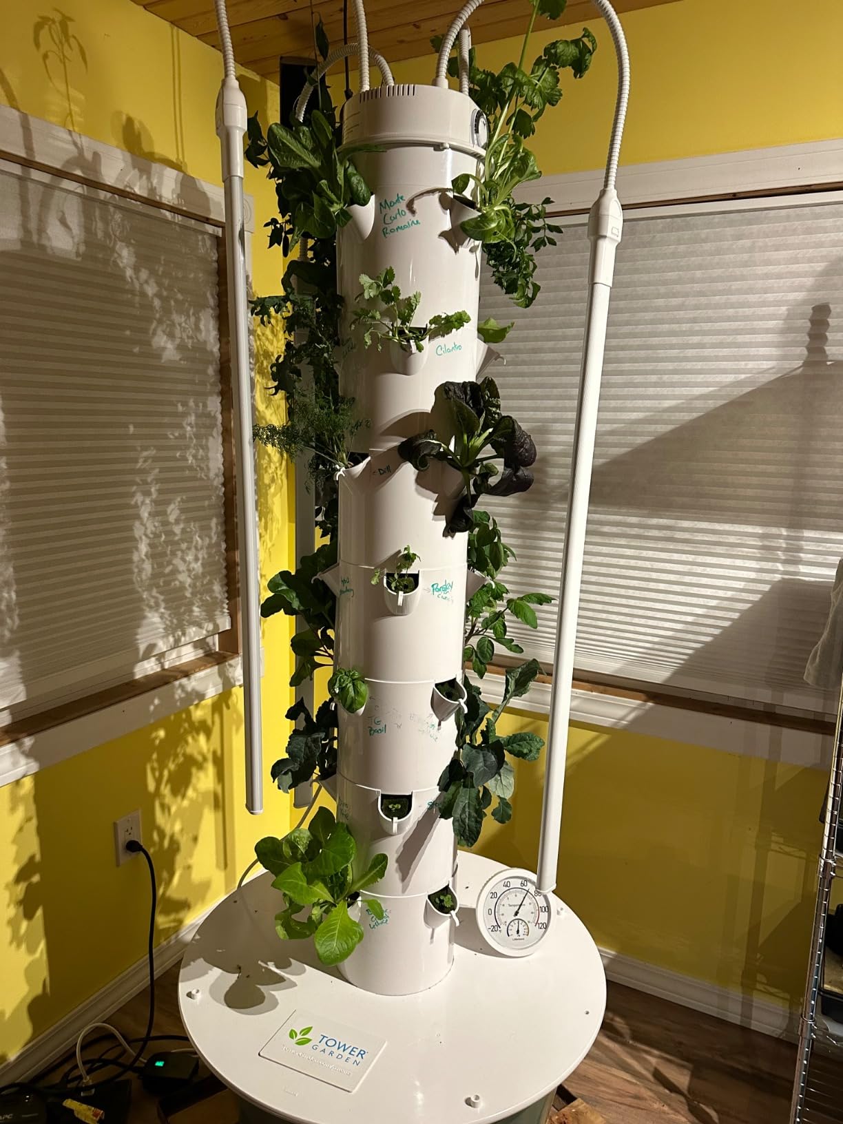 Tower Garden Flex Aeroponic Vertical Growing Tower customer photo 2