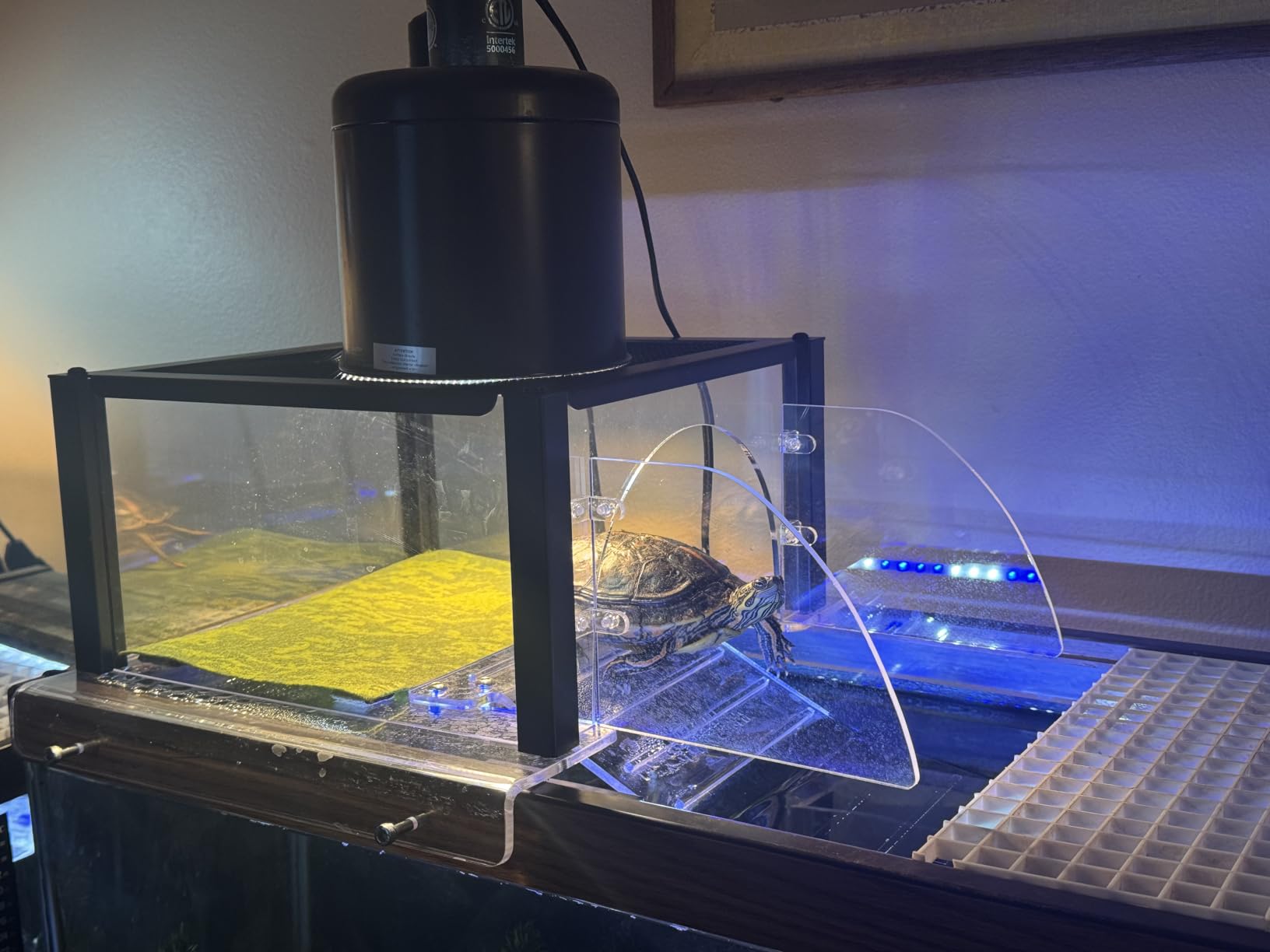 Turtle Topper Basking Platform for Aquatic Turtles 10/20/29/55 Gallon Tank, Aquatic Reptile Ramp Dock, Terrace, Accessories customer photo 2