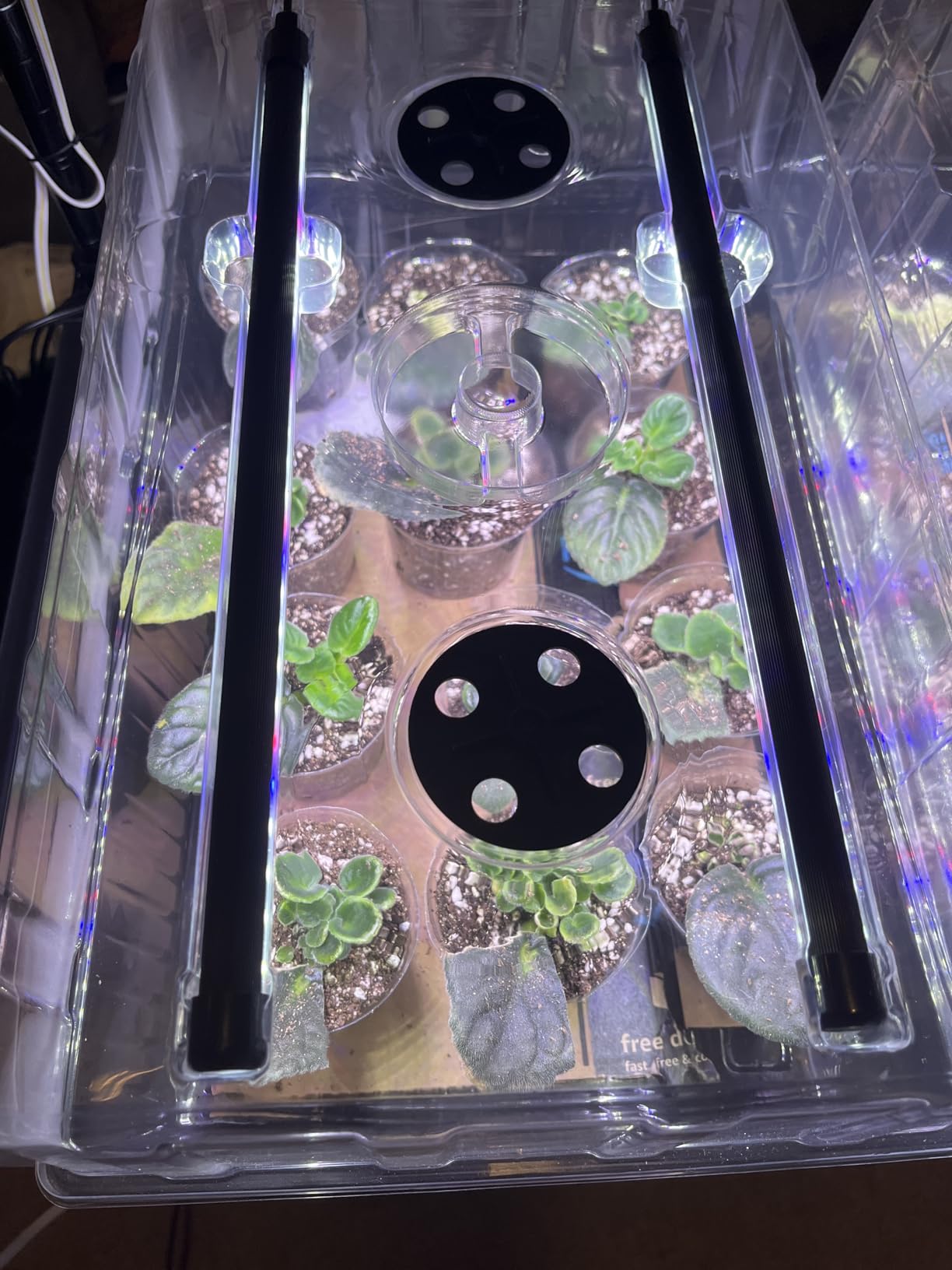 60-Cell Self-Watering Seed Starter Tray with Grow Light, Seed Starter Kit with 4.07