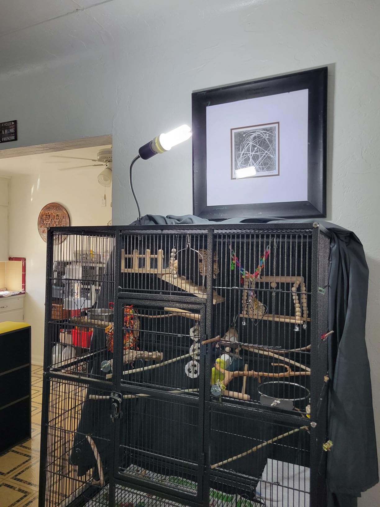 FUNKS TORITOMOSU Bird Cage UVB Light Combo Kit, AvianSun Lamp 2.4% UVB UVA 20W Compact Fluorescent Bulb for All Kinds Captive Birds customer photo 1
