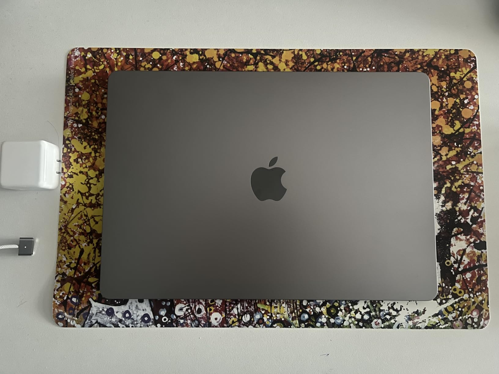 Apple 2024 MacBook Air with Apple M3 chip, 15-inch, 24GB RAM, 512GB SSD Storage - Silver (Renewed) customer photo 1