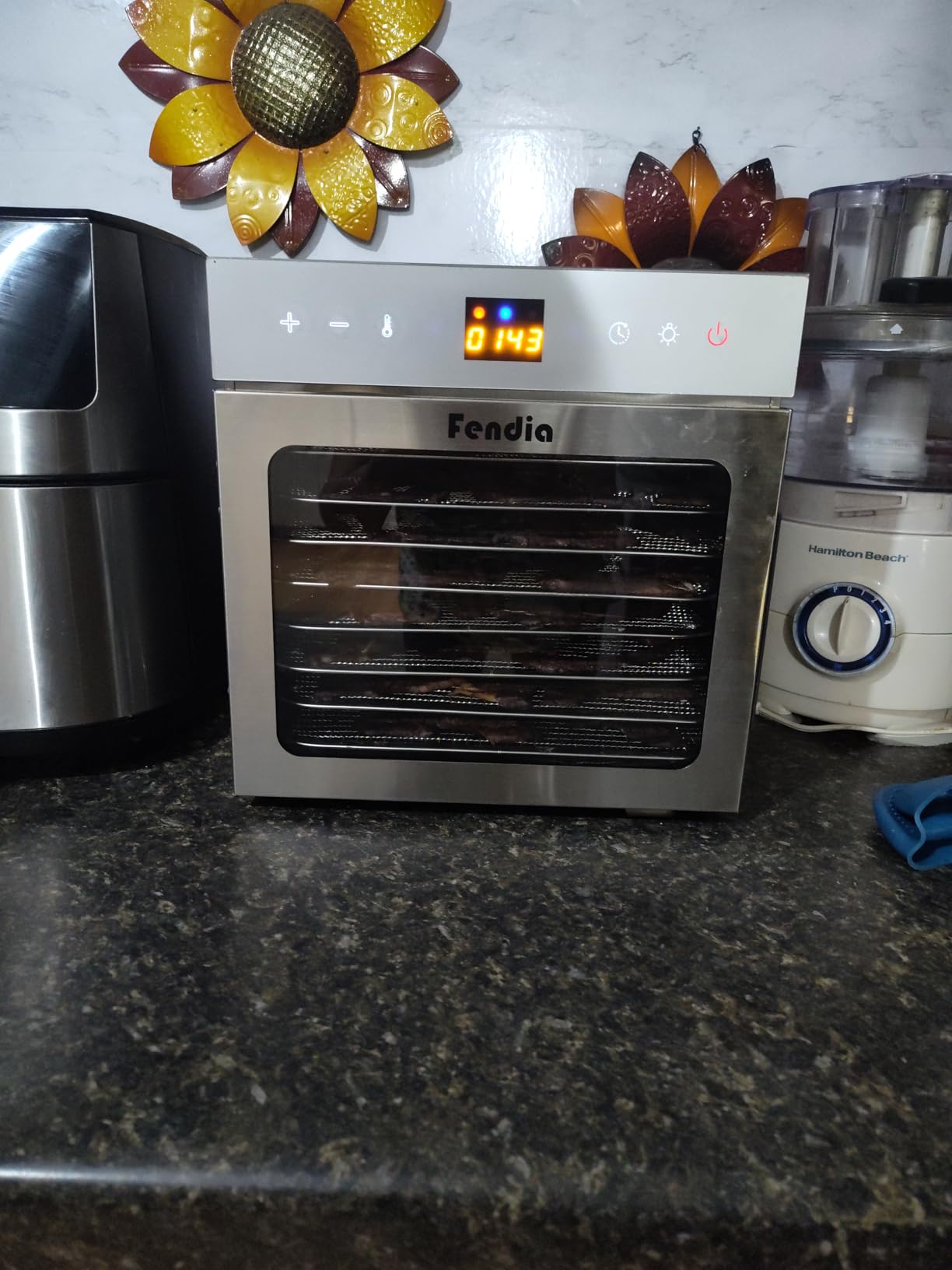 Food Dehydrator for Jerky, 12 Stainless Steel Trays, 1200W Fruit Dehydrator, 24H Timer and 190°F Temperature Control, Overheat Protection, Food Dryer for Jerky, Herbs, Fruit, Dog Treats customer photo 2