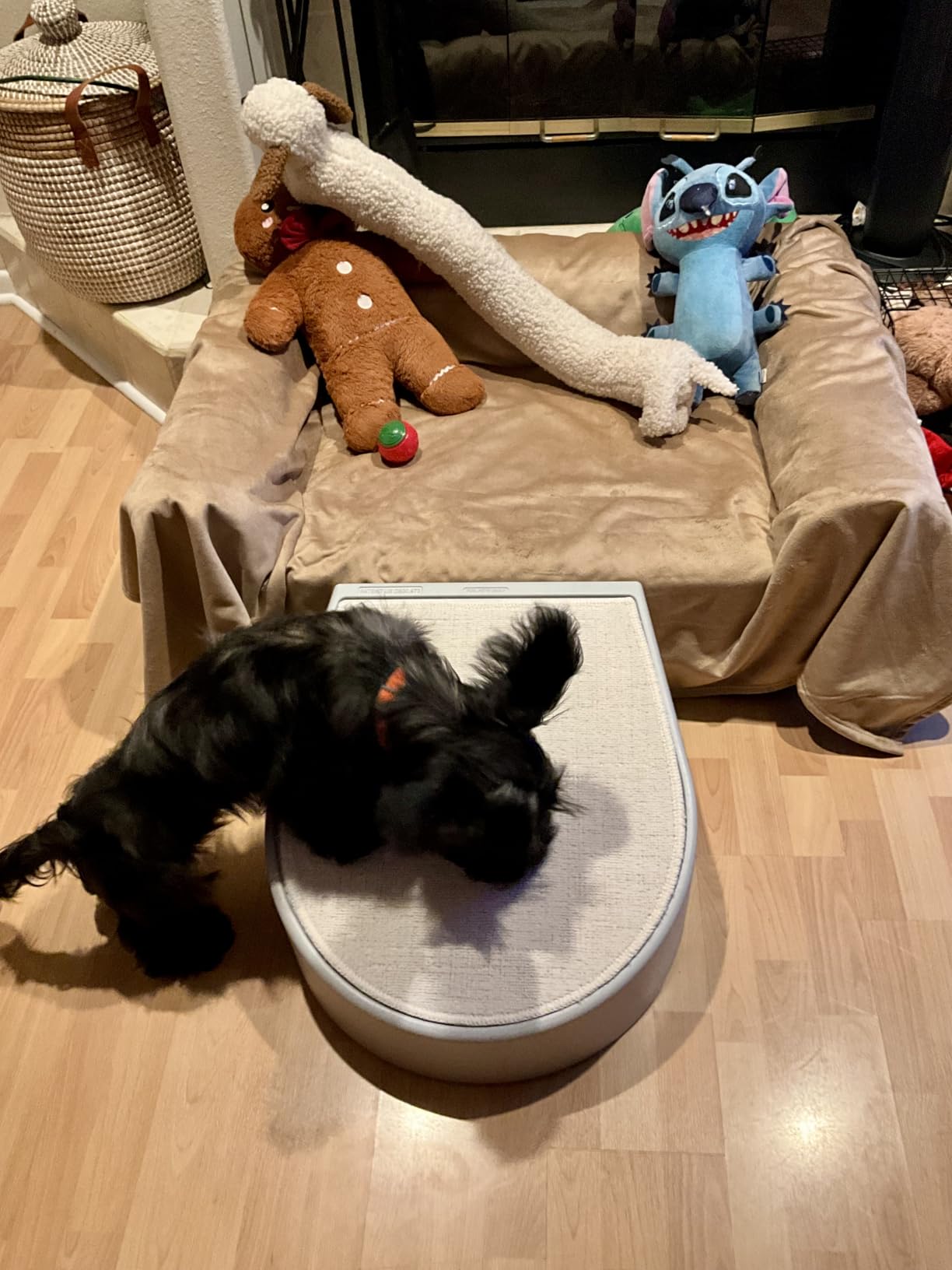Pet Gear Stramp Stair and Ramp Combination for Dogs/Cats, Easy Step, Lightweight/Portable, Sturdy, Easy Assembly (No Tools Required), Fog customer photo 1