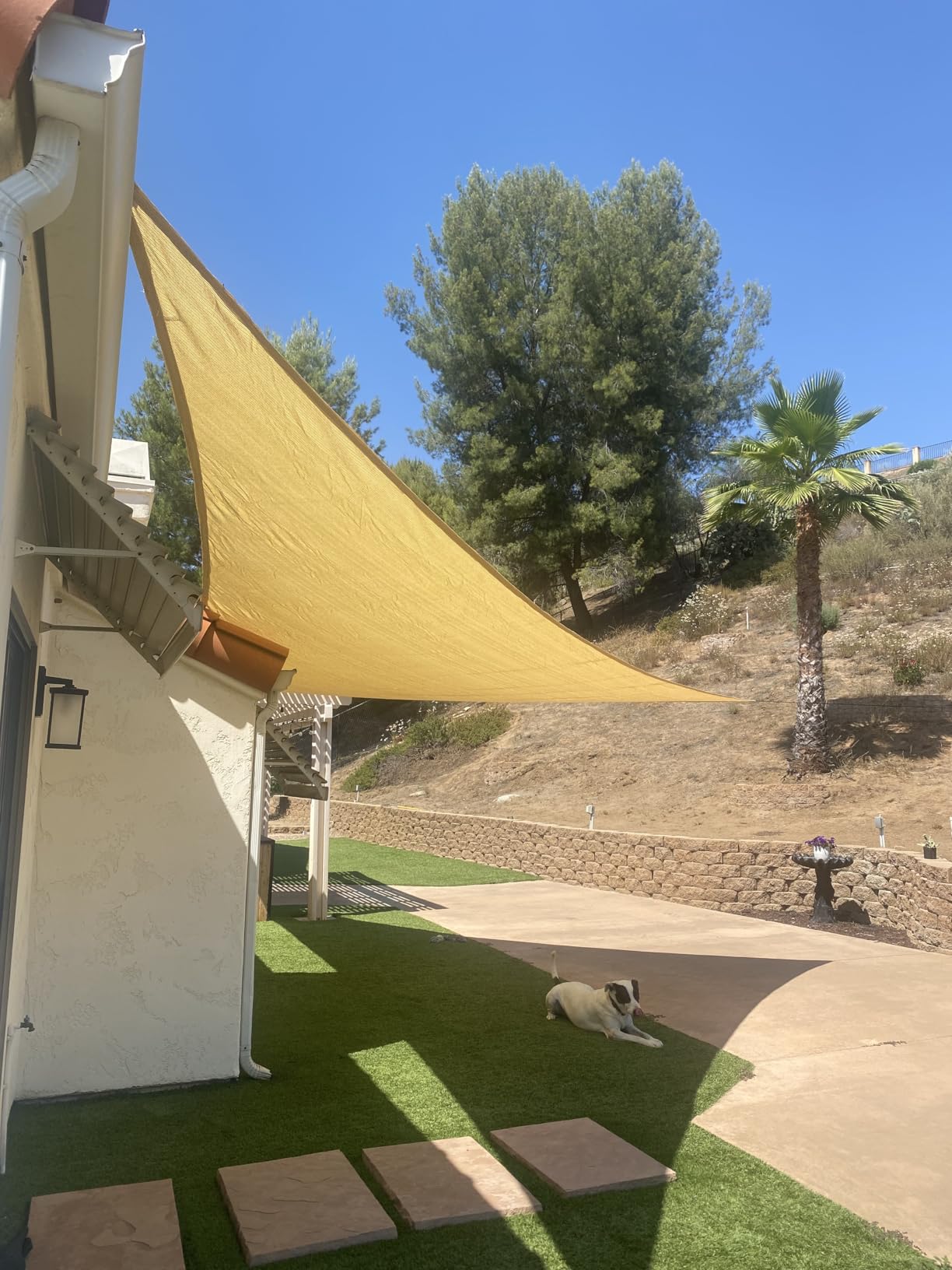 Royal Shade Beige 20' x 20' x 28.3' Right Triangle Sun Shade Sail RS-SLT, 95% UV Blockage, 200GSM Commercial Standard Heavy Duty, Water & Air Permeable Canopy Mesh for Patio (We Make Custom Sizes) customer photo 1