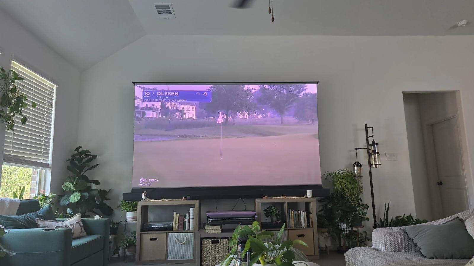 NothingProjector Motorized ALR Screen for Ultra Short Throw Projector, 95% Ambient Light Rejecting, 110 inch, Floor Rising, 4K/8K UHD, Active 3D, Anti Daylight, Electric Retractable Automatic NothPJ customer photo 1